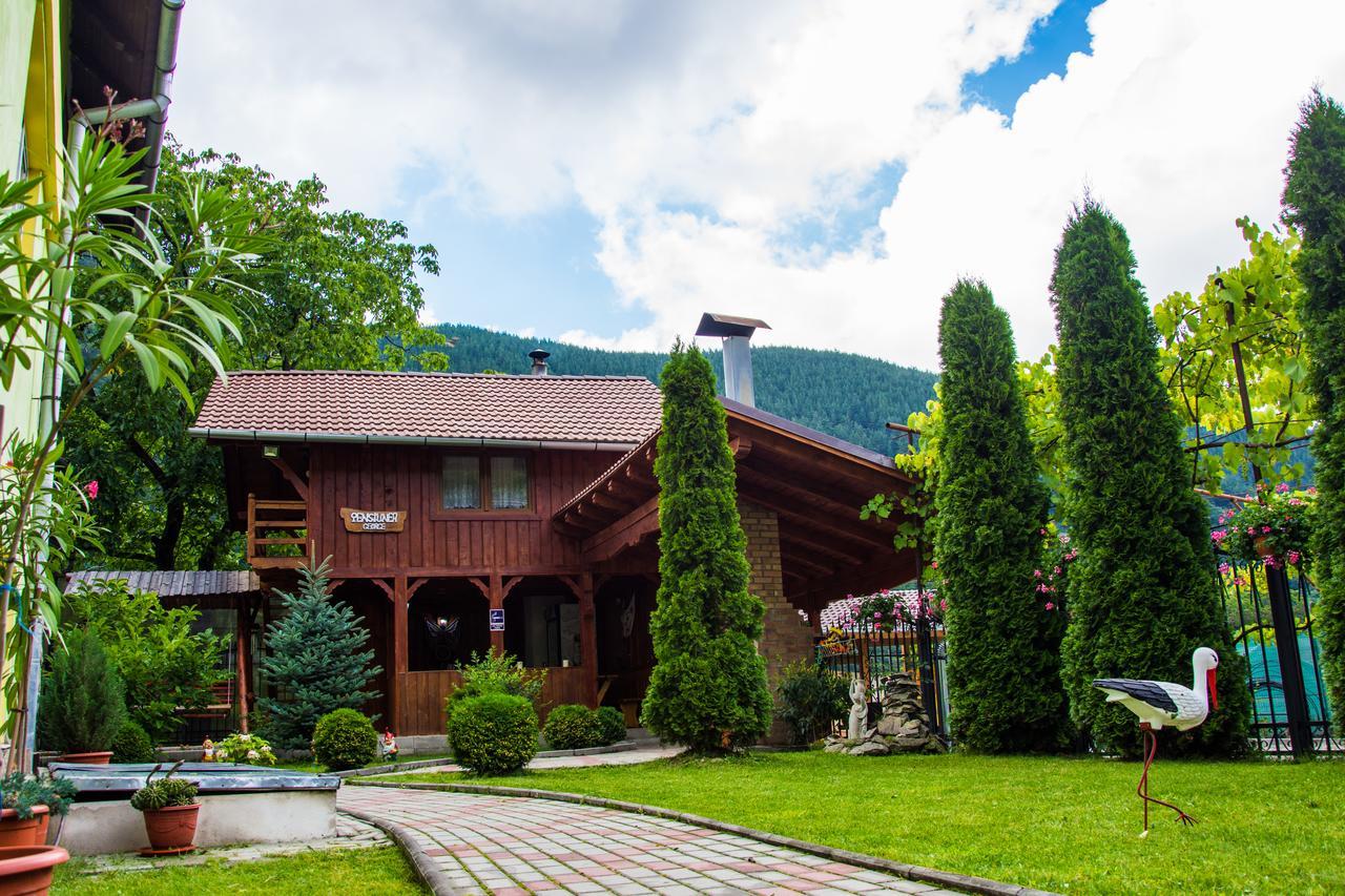 Pensiunea George Gura Rîului Exterior foto