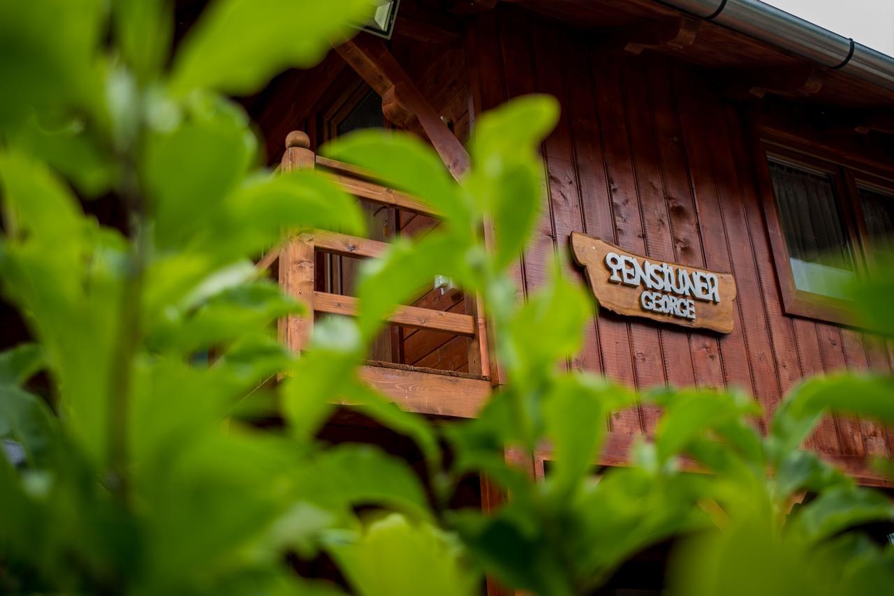Pensiunea George Gura Rîului Exterior foto